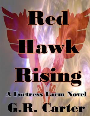 Cover of the book Fortress Farm - Red Hawk Rising by Bruce Buckshot Hemming