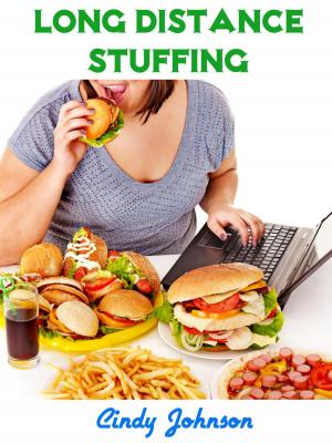 Cover of the book Long distance Stuffing by Synthia St. Claire