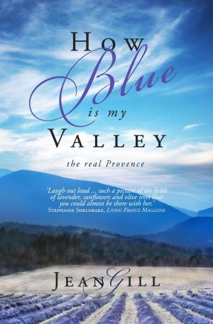 Cover of the book How Blue Is My Valley by Frédéric BIBARD