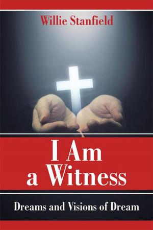 Cover of the book I Am a Witness by S. E. Finken