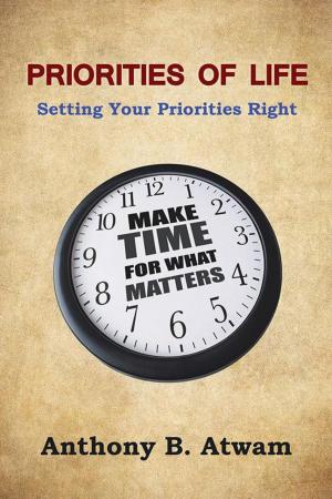 Cover of the book Priorities of Life by Shamus Flaherty