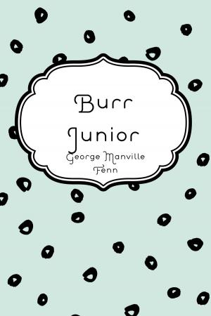 Cover of the book Burr Junior by Edward Bulwer-Lytton