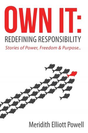 Cover of the book Own It by Christopher Weber Furst