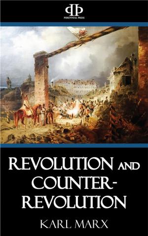 Cover of the book Revolution and Counter-Revolution by Robert E. Howard