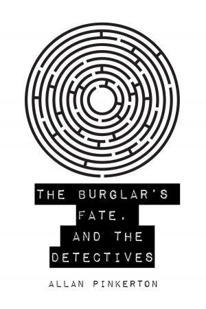 Book cover of The Burglar's Fate, and The Detectives