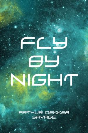 Cover of the book Fly By Night by Will B. Riley