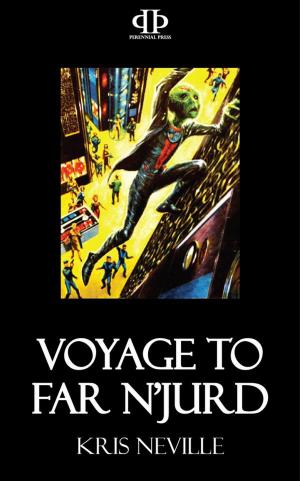 Cover of the book Voyage to Far N'Jurd by Karen C. Webb