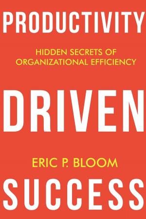Cover of the book Productivity Driven Success by Chris DiGiuseppi, Sean Caulfield