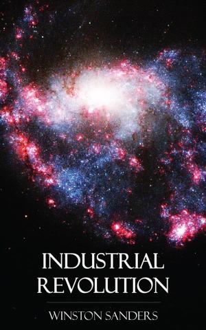 Cover of the book Industrial Revolution by James Cabell