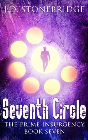 Cover of the book Seventh Circle by R.J. Hamilton