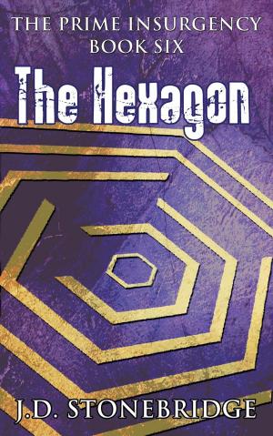 Cover of the book The Hexagon by Devon Ashley