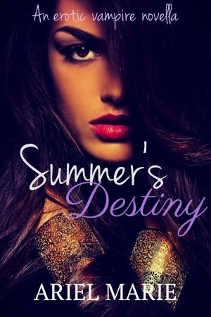 Cover of the book Summer's Destiny by Catherine Lanigan