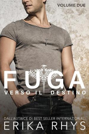 Book cover of Fuga verso il destino, volume due: una serie romantica new adult
