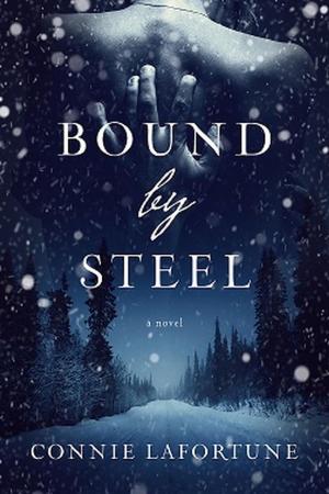 Cover of the book Bound by Steel by Tina Wainscott