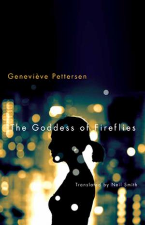 Cover of the book The Goddess of Fireflies by Stuart Robertson