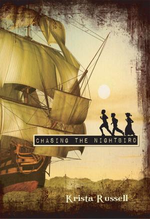 Cover of the book Chasing the Nightbird by Gail Langer Karwoski