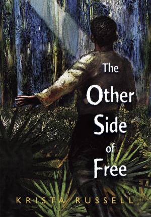 Cover of the book The Other Side of Free by Ruth Ashby