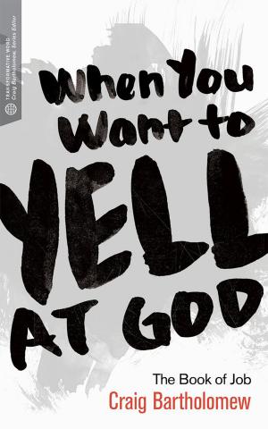 Cover of the book When You Want to Yell at God by Michael S. Heiser