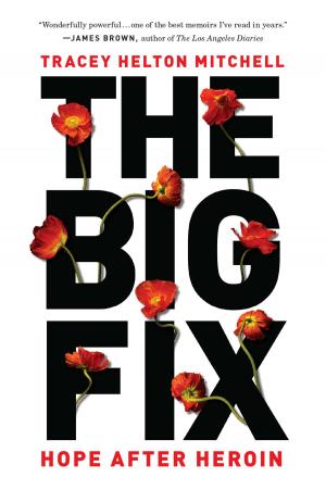 Cover of the book The Big Fix by Rosabeth Moss Kanter