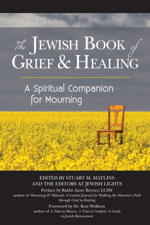 Cover of the book The Jewish Book of Grief and Healing by Rabbi Edwin Goldberg, DHL