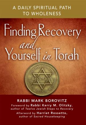 Book cover of Finding Recovery and Yourself in Torah