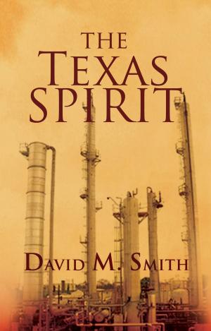 Book cover of Texas Spirit