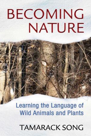 Cover of the book Becoming Nature by Henry W. Shoemaker