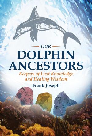 Book cover of Our Dolphin Ancestors
