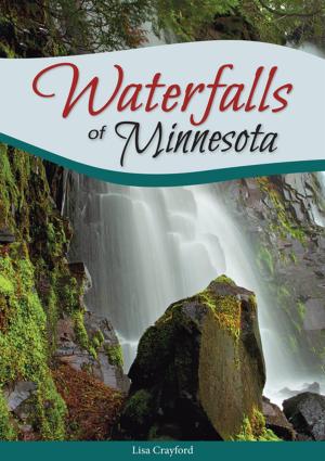 Cover of the book Waterfalls of Minnesota by Theresa Millang, Karen Corbett