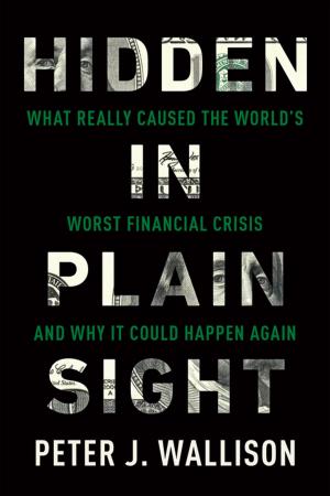 Cover of the book Hidden in Plain Sight by Michael Rubin