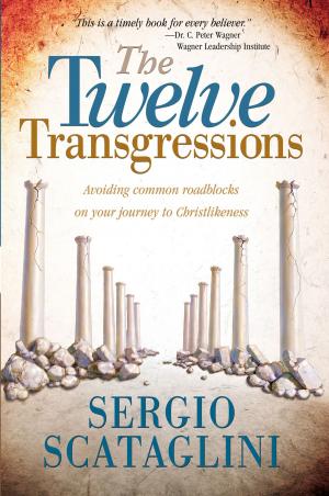 Book cover of Twelve Transgressions