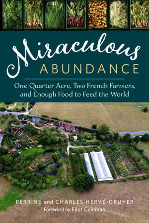 Cover of the book Miraculous Abundance by Stephen Leslie