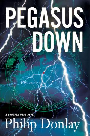 Cover of the book Pegasus Down by Mark Terry
