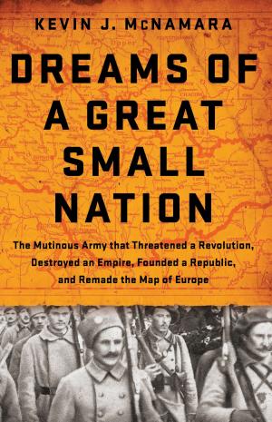 Cover of the book Dreams of a Great Small Nation by Margee Kerr