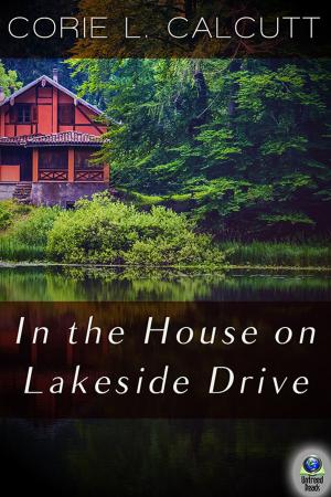 bigCover of the book In The House On Lakeside Drive by 