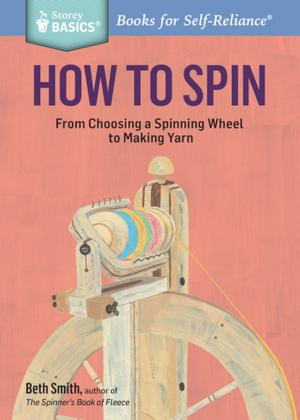 Cover of the book How to Spin by Laura Allen