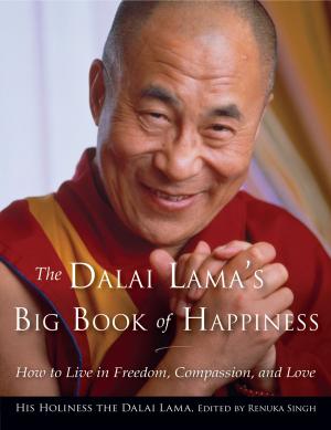 Cover of the book The Dalai Lama's Big Book of Happiness by Annie Mattingley