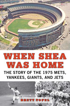 Cover of the book When Shea Was Home by David A. Burhenn