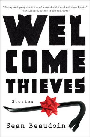 Book cover of Welcome Thieves