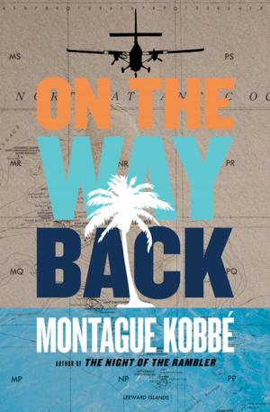 Cover of the book On the Way Back by Joe Meno
