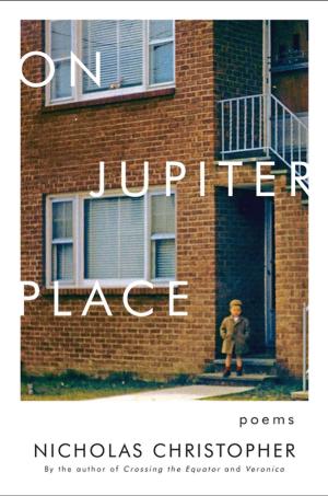 Book cover of On Jupiter Place