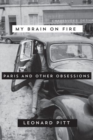 Cover of the book My Brain on Fire by Paul Krassner