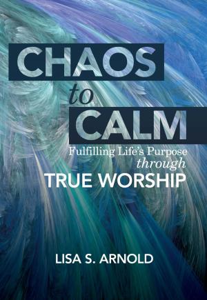 Cover of the book Chaos to Calm by H. Robert Wilson Ph.D.