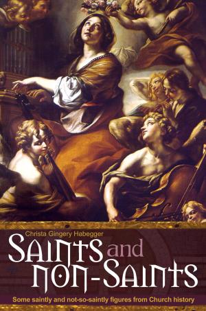 Cover of the book Saints and Non-Saints by Conti, AnnaLee