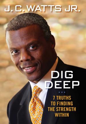 Cover of the book Dig Deep by John Van Pay