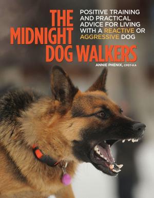 Cover of the book The Midnight Dog Walkers by Haja Van Wessem