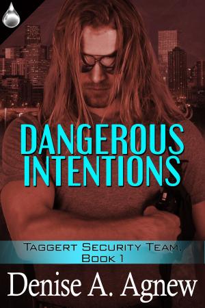 Cover of the book Dangerous Intention by CB Samet