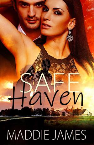 Cover of the book Safe Haven by Corinna Skye