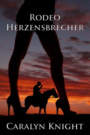 Book cover of Rodeo Herzensbrecher