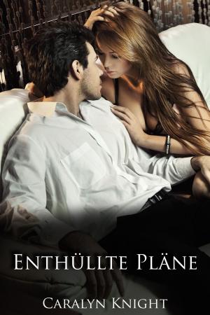 Cover of the book Enthüllte Pläne by Pheobe Cain